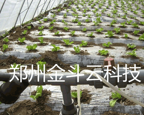 麻豆精品国产综合係統