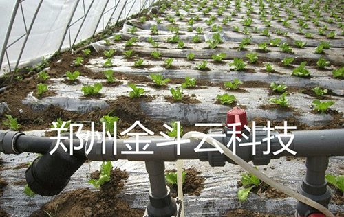 農業麻豆精品国产综合