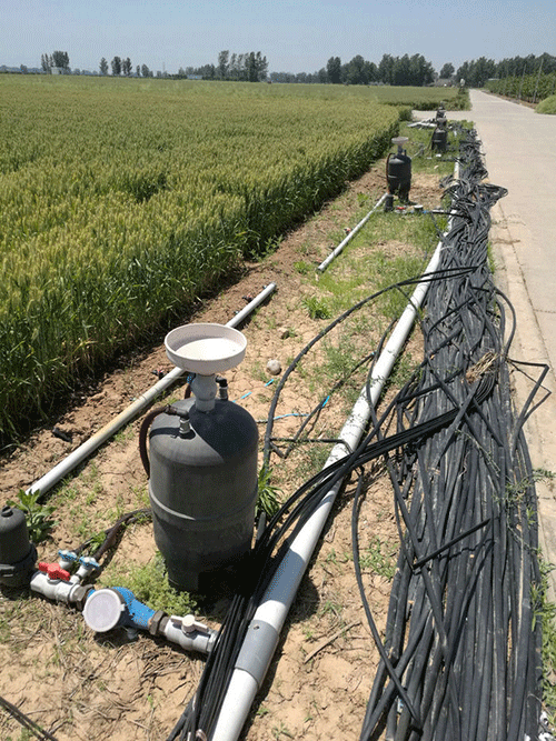 農業麻豆精品国产综合
