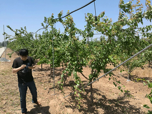 農業麻豆精品国产综合