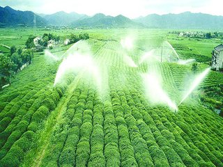 農業麻豆精品国产综合