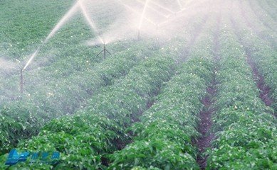 麻豆精品国产综合係統