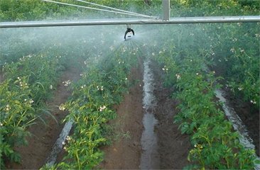 麻豆精品国产综合係統廠家