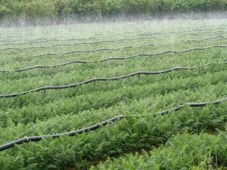 節水麻豆精品国产综合