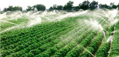 節水麻豆精品国产综合