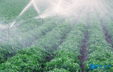 節水麻豆精品国产综合